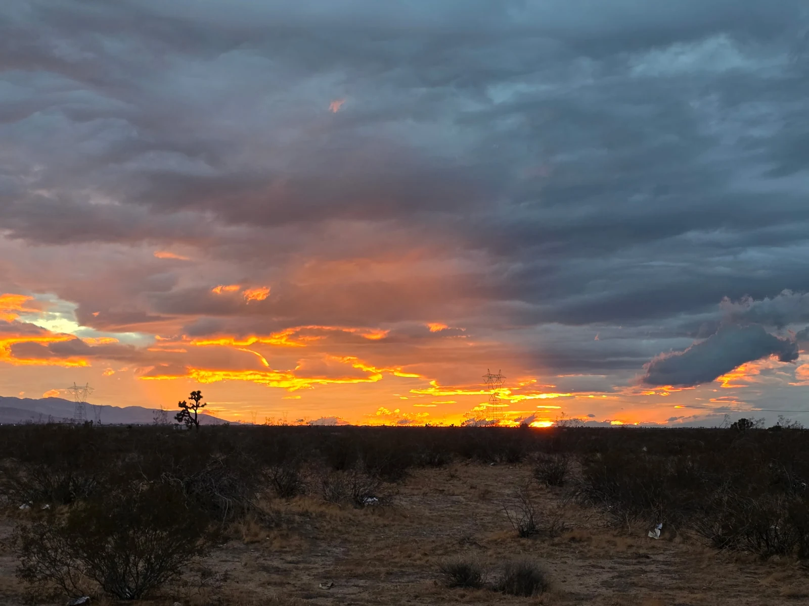 Desert property and Joshua Tree landscape at sunset provided by Jx2 Civil Design